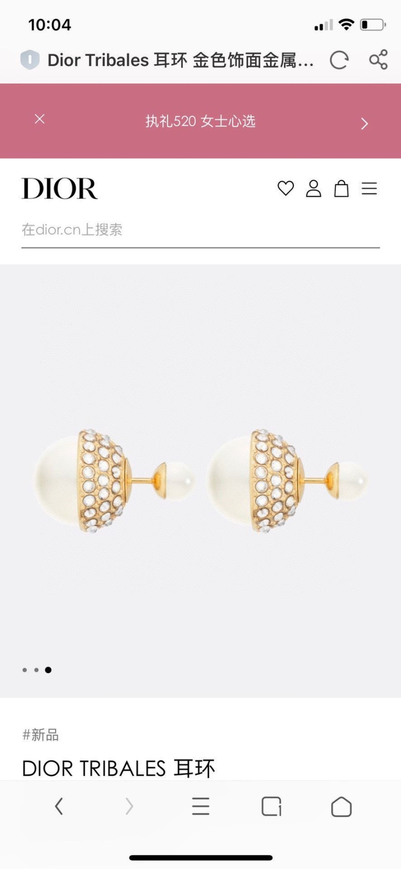 chr1st1an D10r earrings